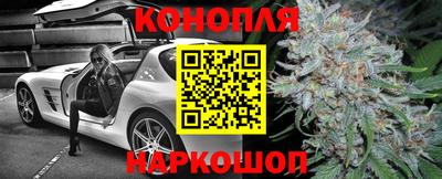 молекула духа Заводоуковск