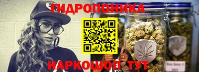 молекула духа Заводоуковск