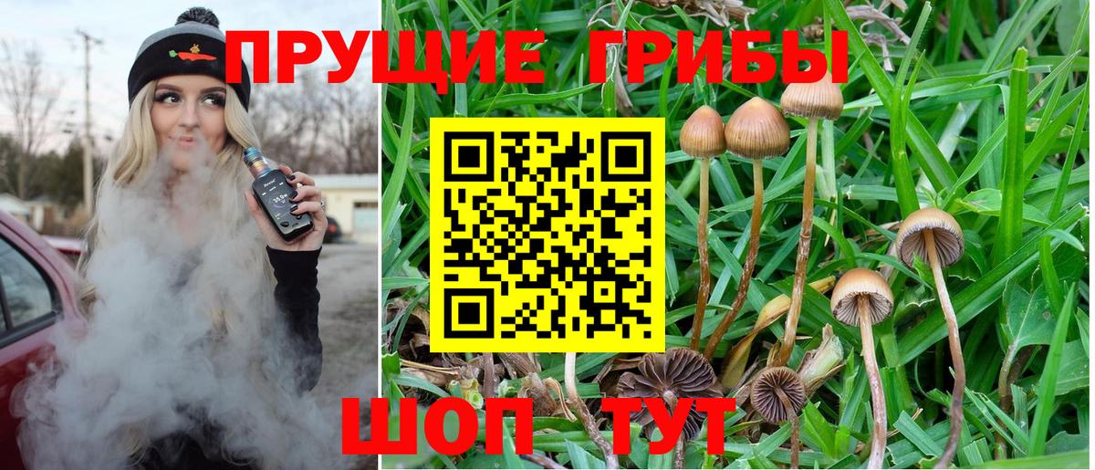Галлюциногенные грибы прущие грибы  Вход с VPN  Мирный 